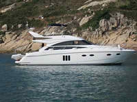 Princess 54